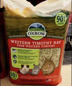 Timothy Hay