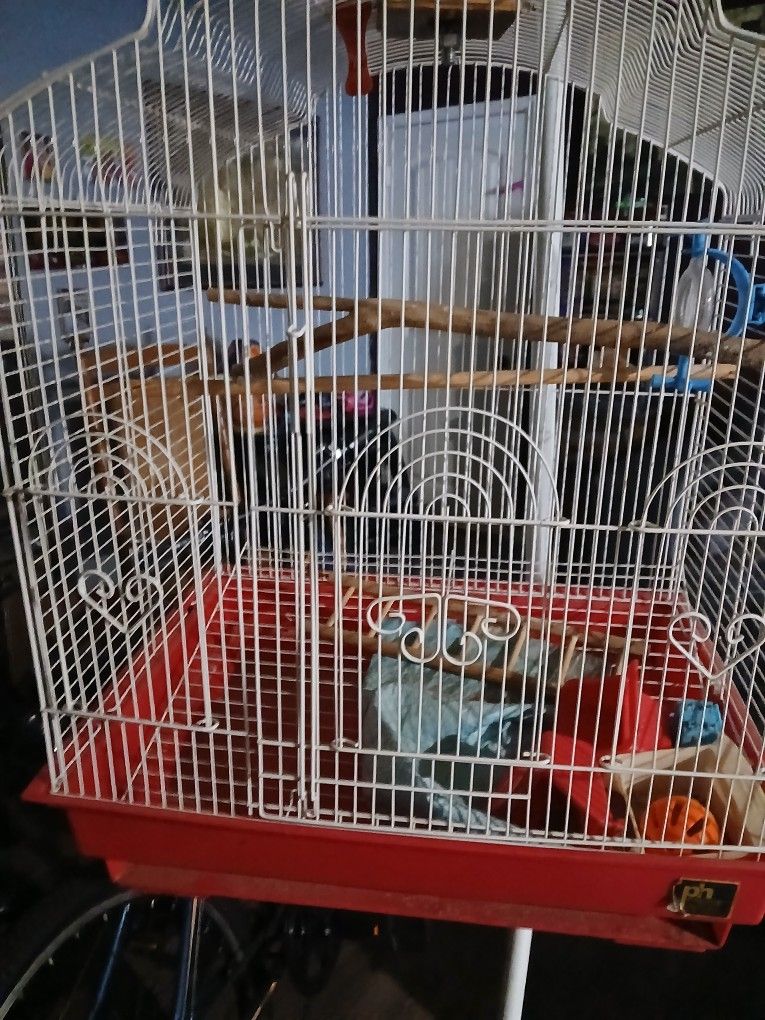 Bird Cage