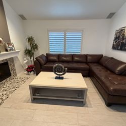 Arizona Leather Sectional