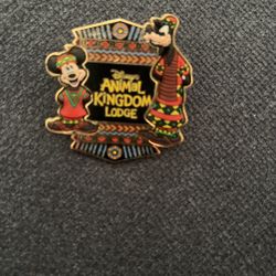 Disney Animal Kingdom Pin