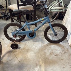 Coop Cycles Bike Rev 16  REI