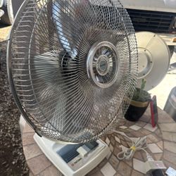 Fan 