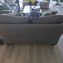 Loveseat And Pullout Couch
