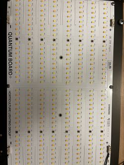 LED Grow Lights