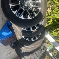 Rines 20” For Sale 