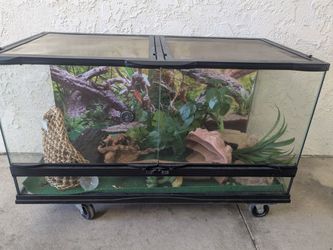 Large Glass Reptile Terrarium