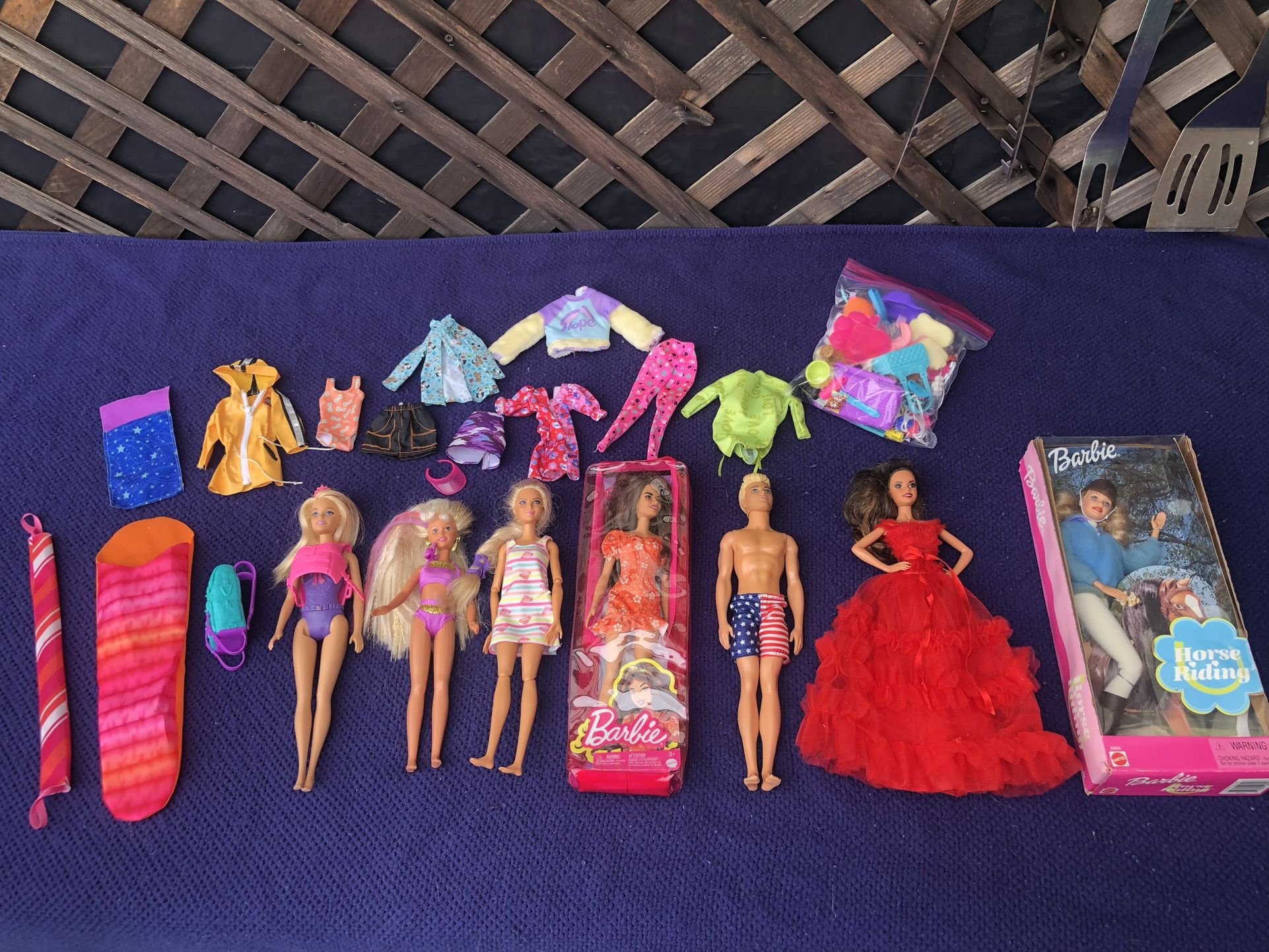 Barbies and accessories!