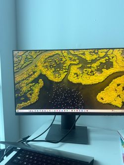 Dell 24” Black USB-C Desktop Monitor- 1080p