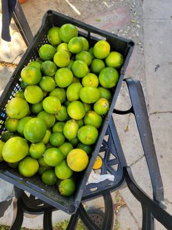 Limones