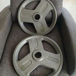 Olympic Weight Plates 