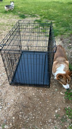 Dog Crate (two)