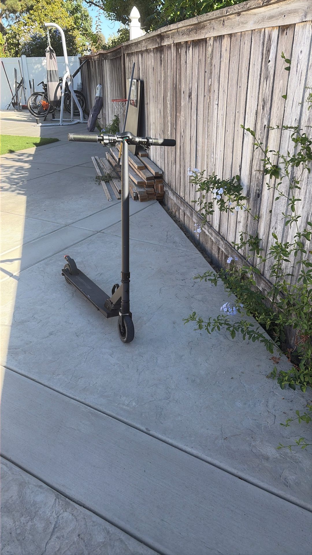 Schwinn E-Scooter