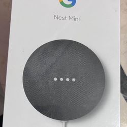 Google Nest Mini 2nd Generation 