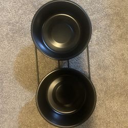 Elevated Black Cat Bowls