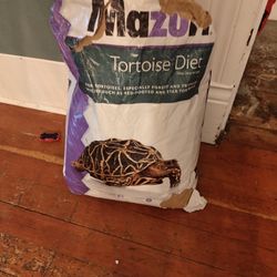 Tortoise Food