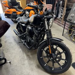 2022 Harley XL 883 Iron Sportster 