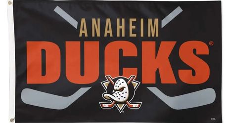 Anaheim Ducks Hockey Flag 5ftx3ft $20 Firm On Price