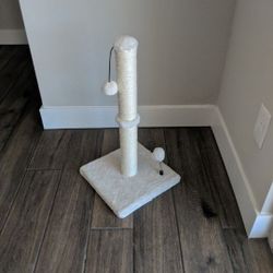 22 In Premium Cat Scratching Post, Bowls, Slow Feeder, Toys, Kong Brush, Nail Clippers, Cone, Recovery Suit