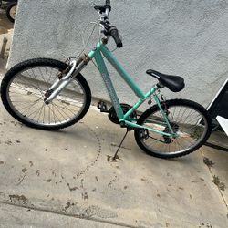 Bike 24 Inch Wheel