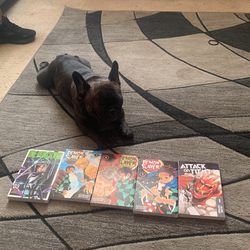Manga