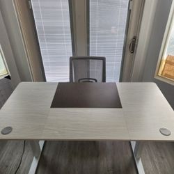 Electric Standing Desk (adjustable Height)