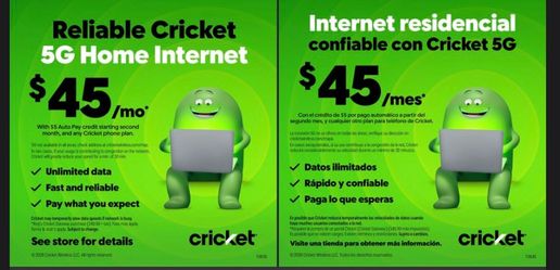Cricket
