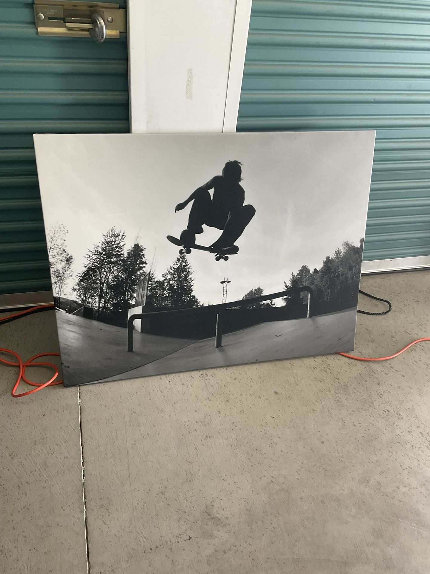 Skate Picture