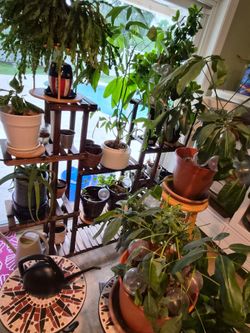 Garden pot set