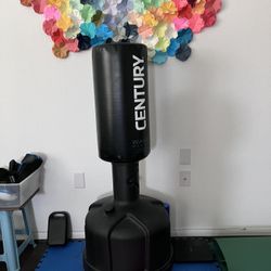 Junior Punch Bag