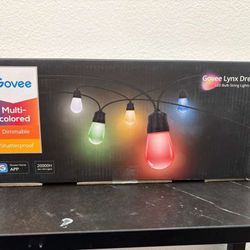 Govee Smart Outdoor String Lights RGBIC Warm White 96ft LED Bulbs