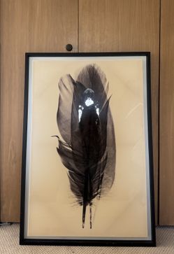 Large, stunning wall artwork / picture of black feather