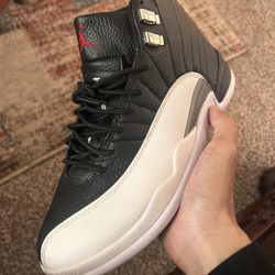 Jordan 12 Playoffs 