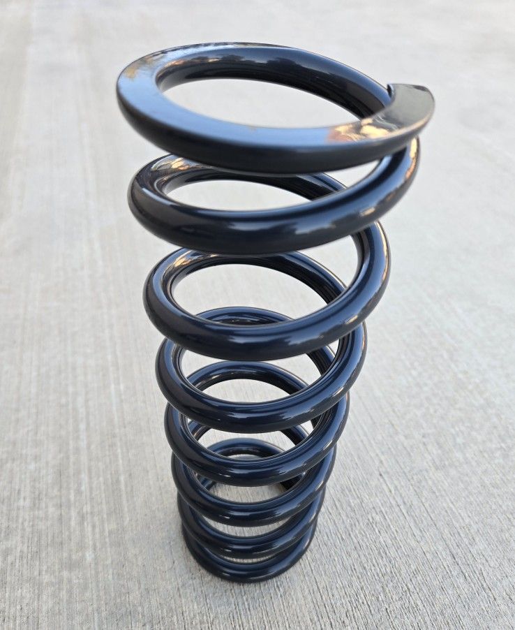 Rear Spring