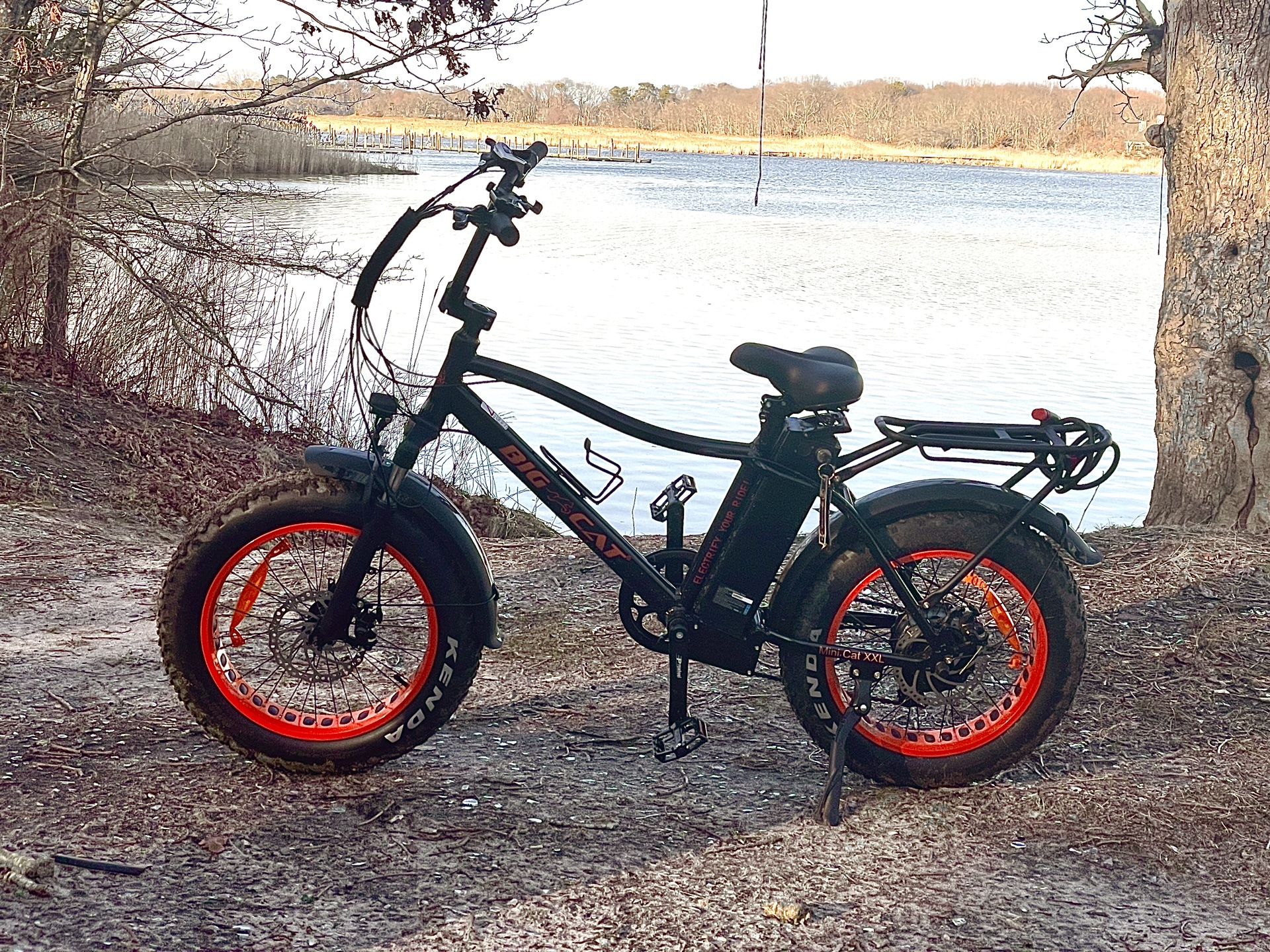 Fat Cat Big Electric Bike Big Cat Electric Bicycle Mini Fat Cat