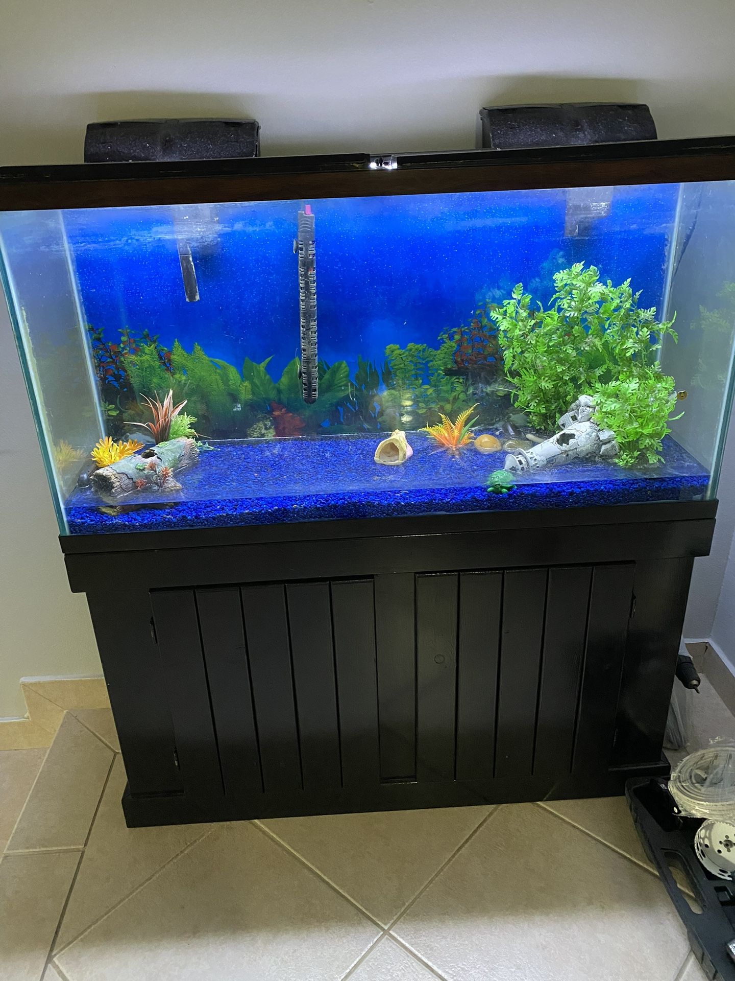 60 Gallon Fish Tank 