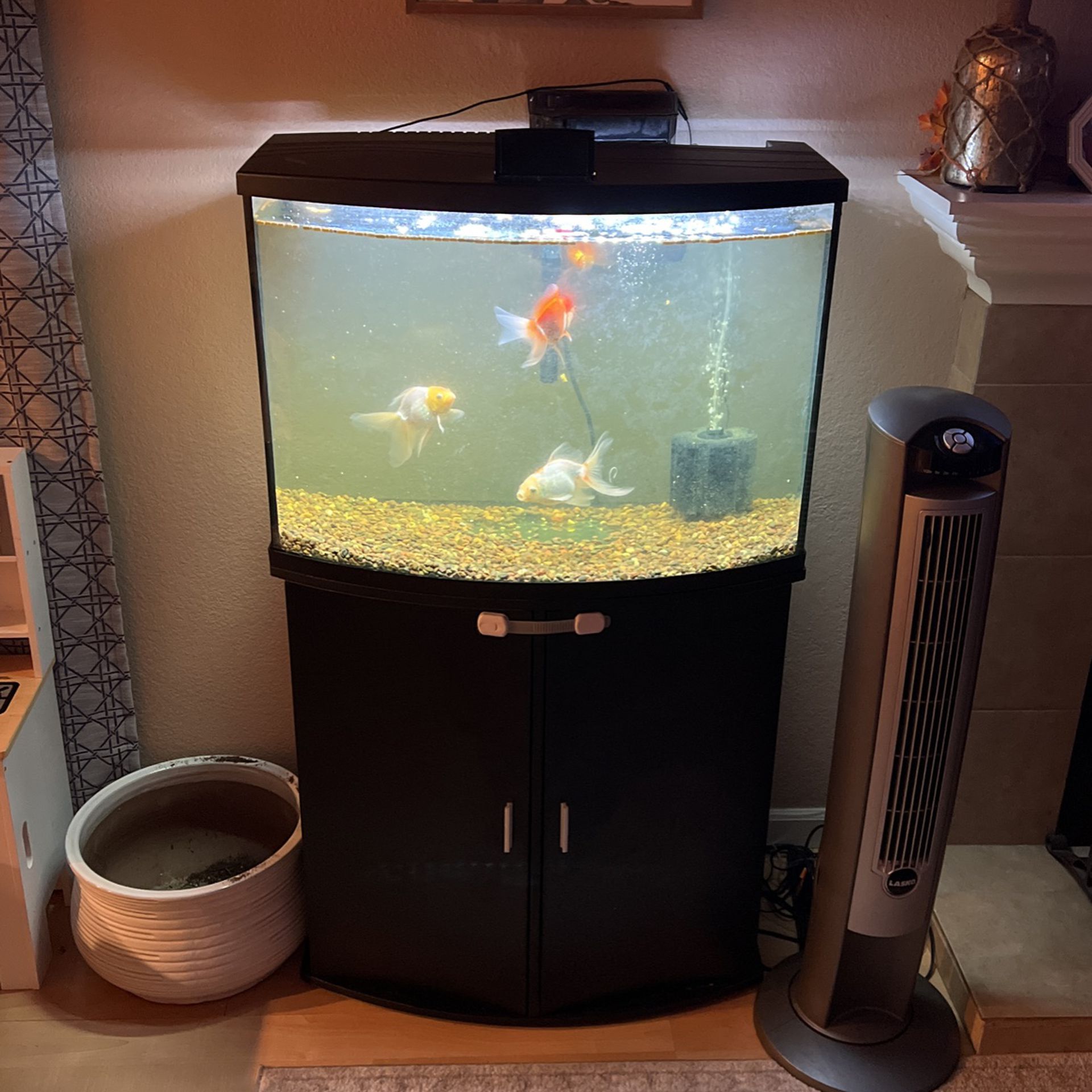 36 Gallon Fish Tank With Stand 