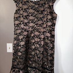 Beautiful Dress - from Dressbarn - Color: Copper Sheer Flowers on Black - Size 16W