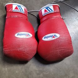 Winning Boxing Gloves