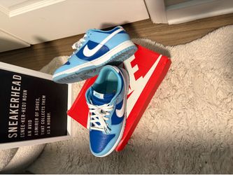 Nike dunk low retro Qs