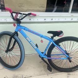 SE Big Flyer 29 In For Sale Read Bio