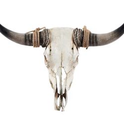 New in the box Ysjndasm Cow Skull Wall Decor, Longhorn Skull Bull Head, Long Horns Wall Decor Cow Skulls Wall Hanging, Faux Taxidermy Head Large Bull 
