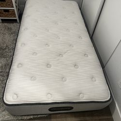 Twin Twin Size Mattress size matress