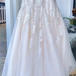 Brand New Wedding Dress 