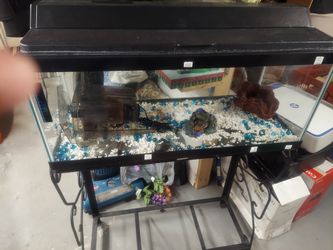 Fish Tank 20g Long