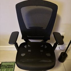 Brand New Ergonomic Office Chair