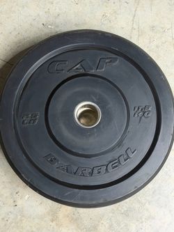 25 lbs plate x2