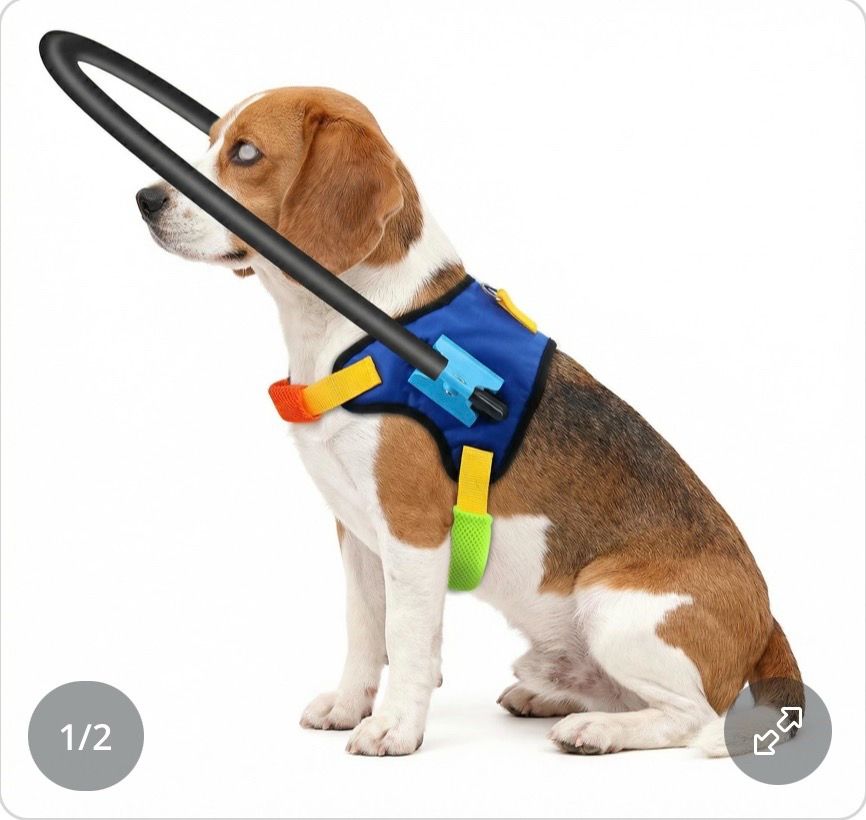 Dog Blind Harness with Halo.