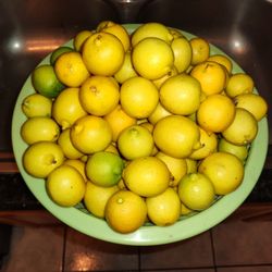 LEMON/LIMONES ORGANIC 10 x $1.00