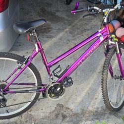 Magna Great Divide Bike 26'