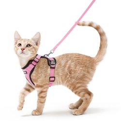 Harness And Leash Small